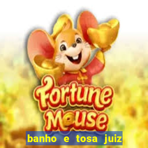 banho e tosa juiz de fora