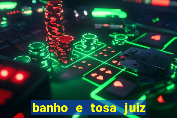 banho e tosa juiz de fora