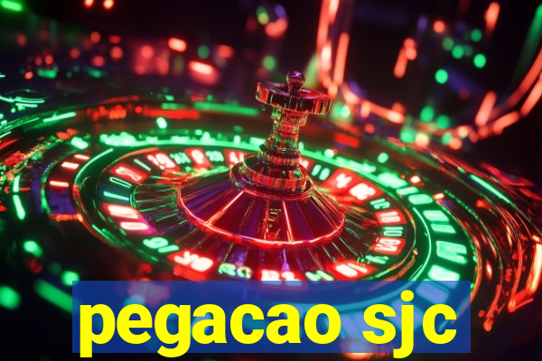 pegacao sjc