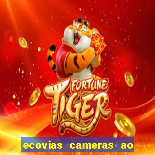 ecovias cameras ao vivo santos