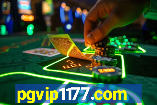 pgvip1177.com