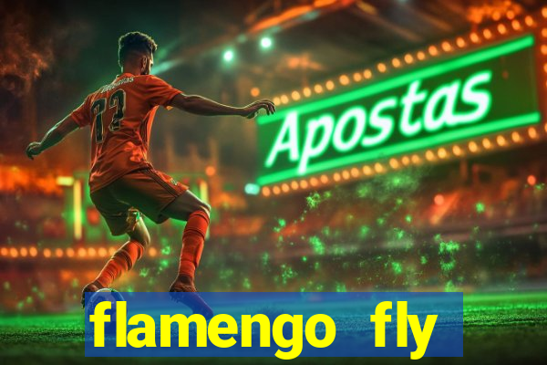 flamengo fly emirates ultimas noticias