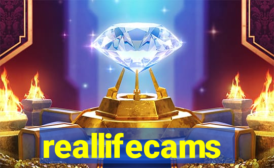 reallifecams