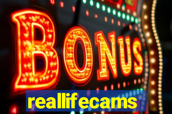 reallifecams