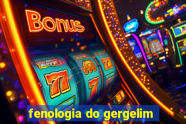 fenologia do gergelim