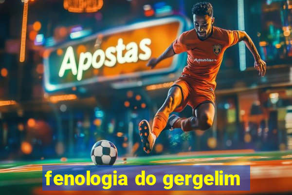 fenologia do gergelim