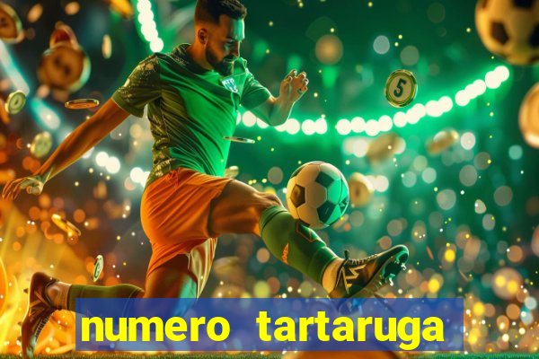 numero tartaruga jogo do bicho