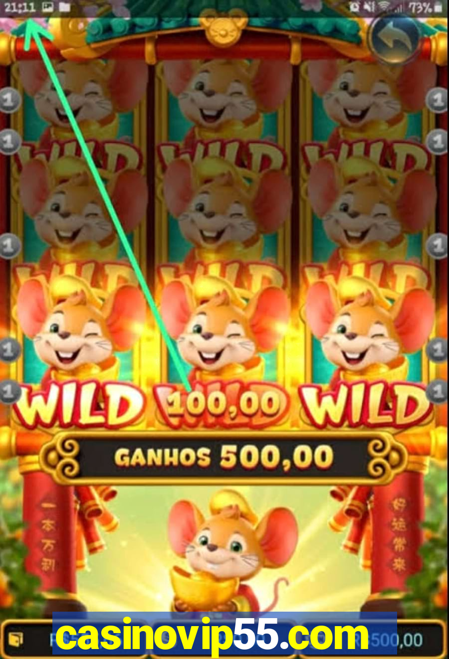 casinovip55.com