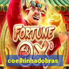 coelhinhadobrasil