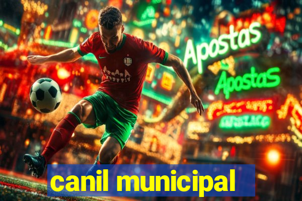 canil municipal