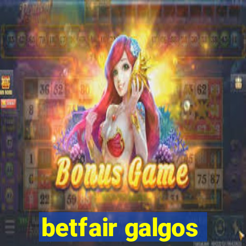 betfair galgos