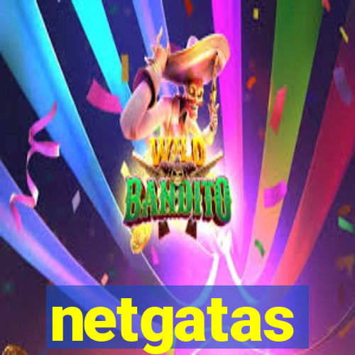 netgatas