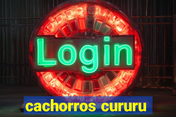 cachorros cururu