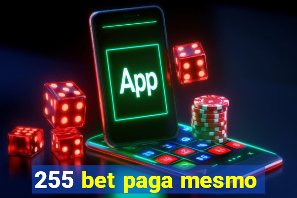 255 bet paga mesmo