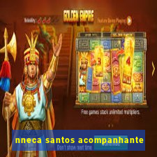 nneca santos acompanhante