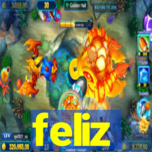 feliz-pg.com