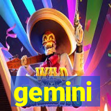 gemini-pp.com