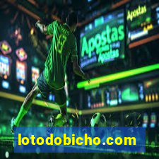 lotodobicho.com