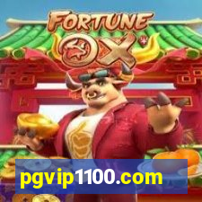 pgvip1100.com