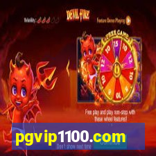 pgvip1100.com