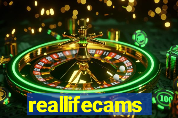 reallifecams