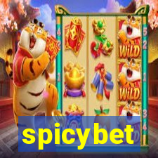 spicybet-2.com