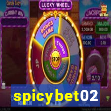 spicybet02