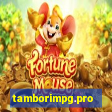 tamborimpg.pro