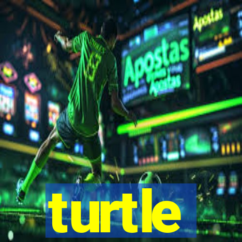 turtle-ty.com