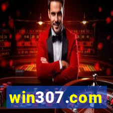 win307.com