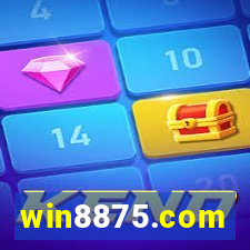 win8875.com